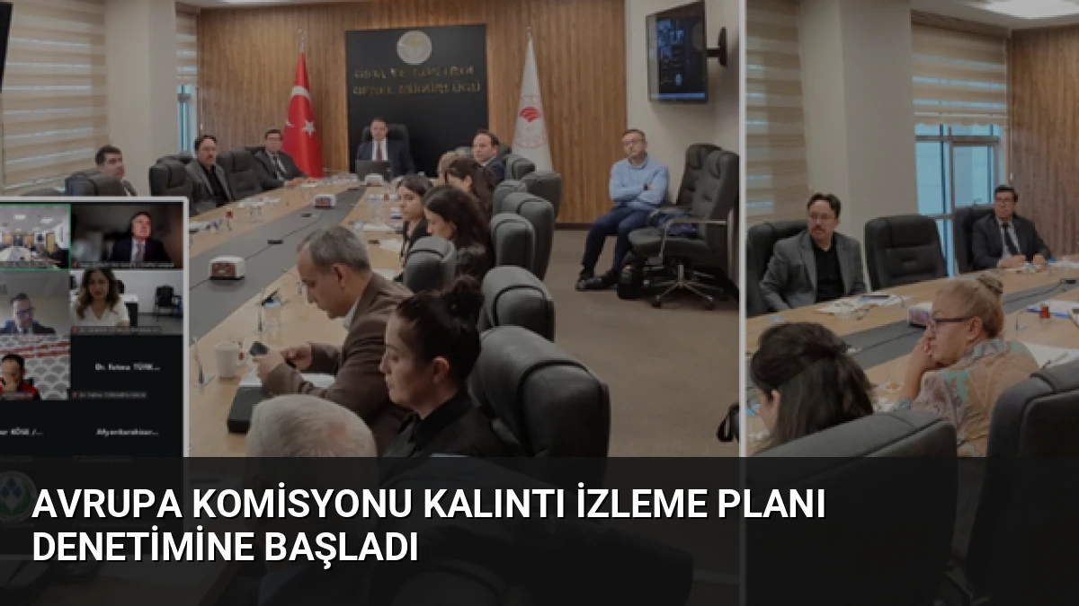 Avrupa Komisyonu Kalıntı İzleme Planı Denetimine Başladı