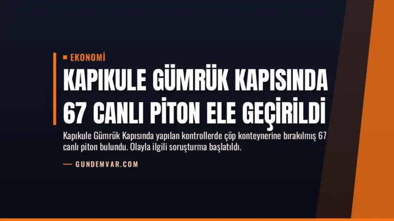 Kapıkule Gümrük Kapısında 67 Canlı Piton Ele Geçirildi
