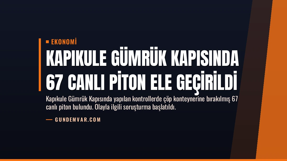 Kapıkule Gümrük Kapısında 67 Canlı Piton Ele Geçirildi