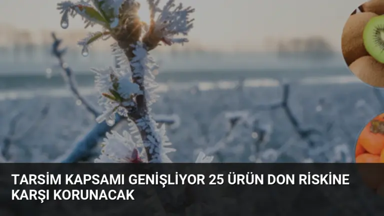 TARSİM Kapsamı Genişliyor 25 Ürün Don Riskine Karşı Korunacak